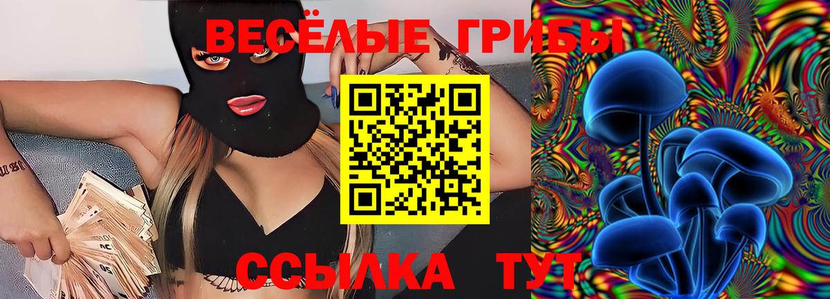 Альметьевск  Галлюциногенные грибы мухоморы  Галлюциногенные грибы Psilocybe  Вход с VPN 